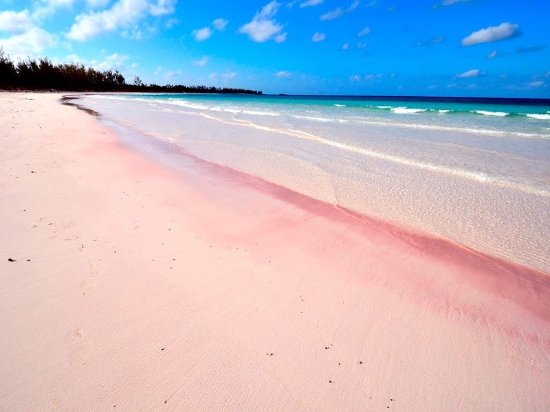 4. Бермудские острова - пляж из розового песка 