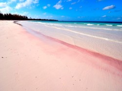 4. Бермудские острова - пляж из розового песка