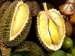 Марианские острова Северные - фрукт дуриан