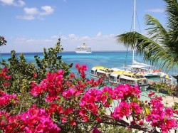 Мартиника - остров цветов