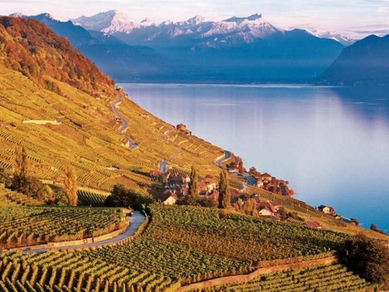 2. Швейцария - виноградники Лаво 