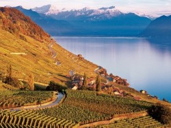 2. Швейцария - виноградники Лаво