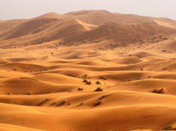 Тунис - дюны в Сахаре