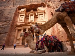 Иордания - Верблюды