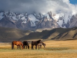 Казахстан - Природа