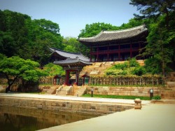 7. Корея Южная - Чандоккун