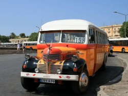 4. Мальта - городской автобус