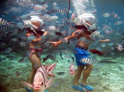 Маврикий - водные развлечения