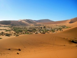 Марокко - природа