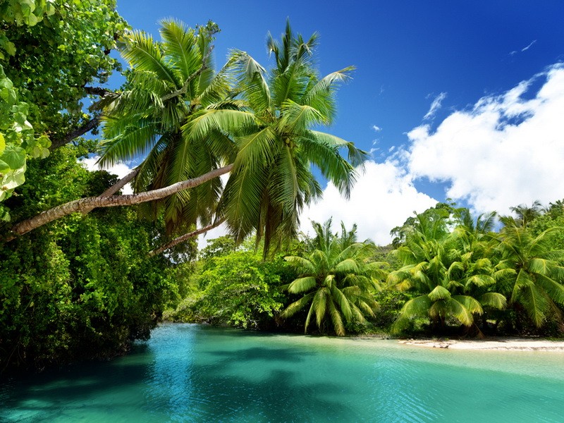 Сейшельские острова -  