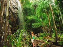 1. Сейшелы - национальный парк Vallee-de-Mai