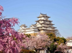 Япония - замок Химеди (Белой Цапли)