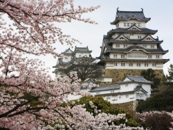 Япония - Замок белой цапли