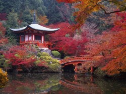 Япония - Осень