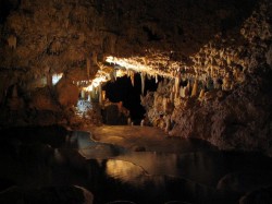 4. Барбадос - пещера Харрисона