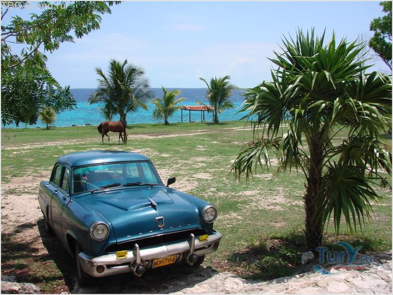 Галерея куба. Club Karey 3 Варадеро. Куба побережье. Куба фото туристов. Парк Хосоне Варадеро.
